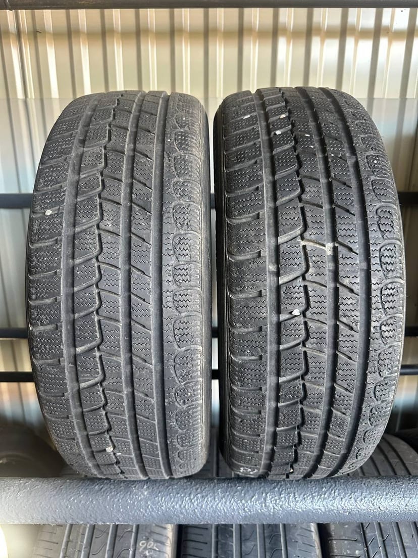 Шини Roadstone Eurovis Alpine WH1 195/55R16 87T — фото 2