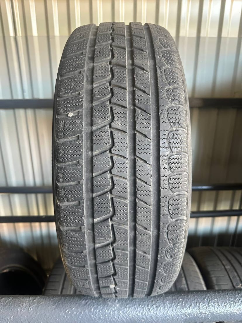 Шини Roadstone Eurovis Alpine WH1 195/55R16 87T — фото 1
