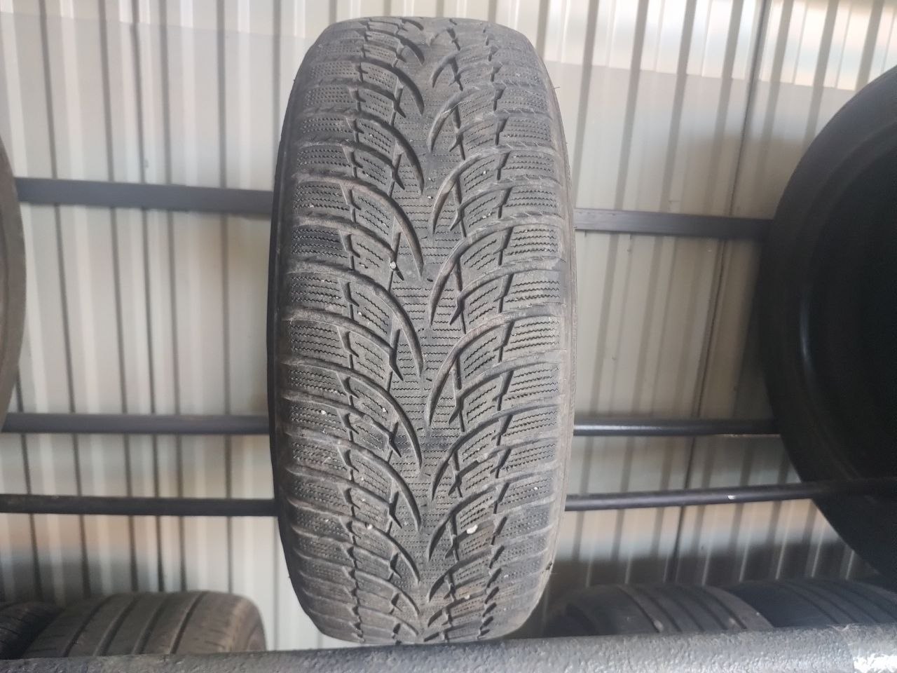 Шини Nokian WR d3 205/55R16 91T — фото 1